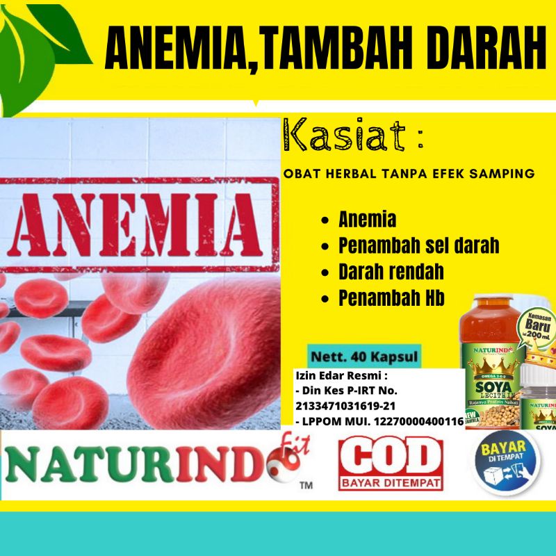Obat Penambah Darah Herbal Ampuh Hb Darah Rendah Kurang Darah