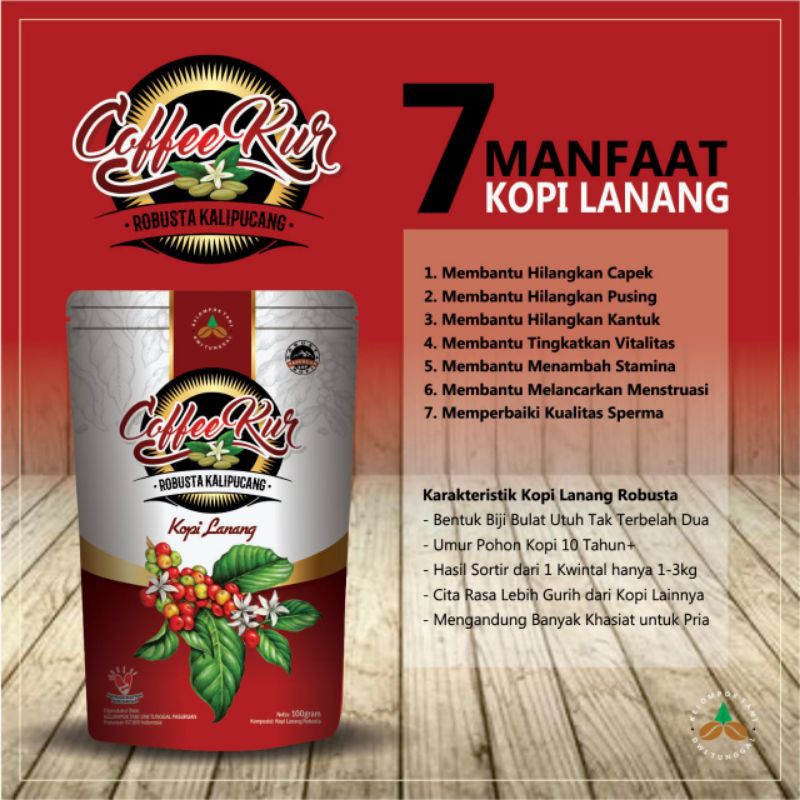 

kopilanang robusta