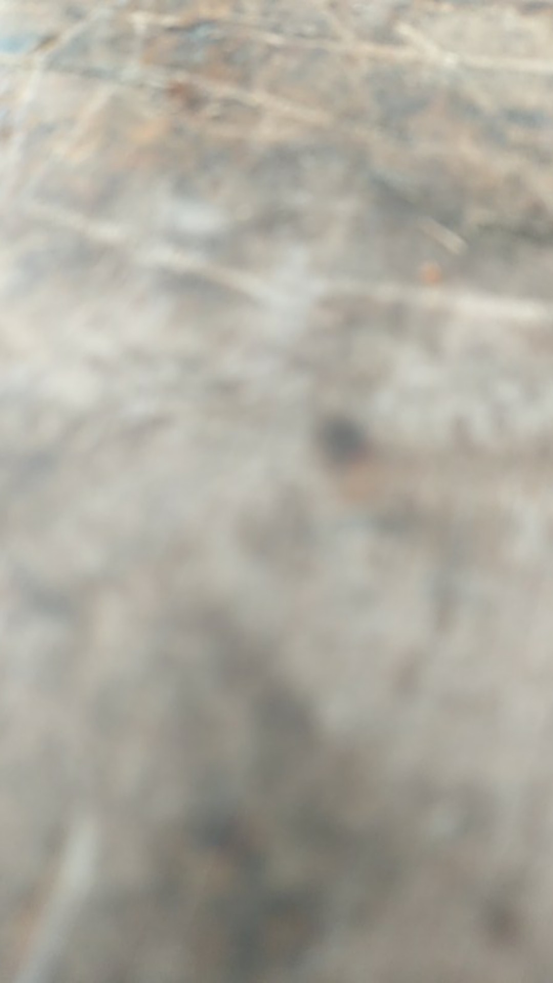 Kemeja Batik Hut Persija 92 Asana X Persija Juara