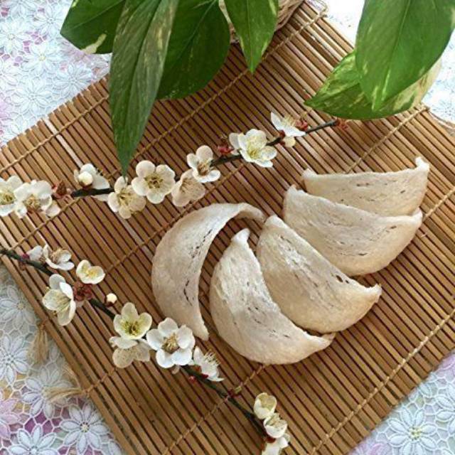 Sarang Burung Walet Bersih Premium