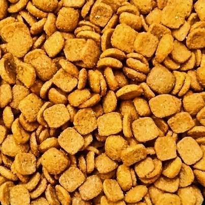Makanan Kucing Chester Cat Food 800 gr (Fresh Pack)