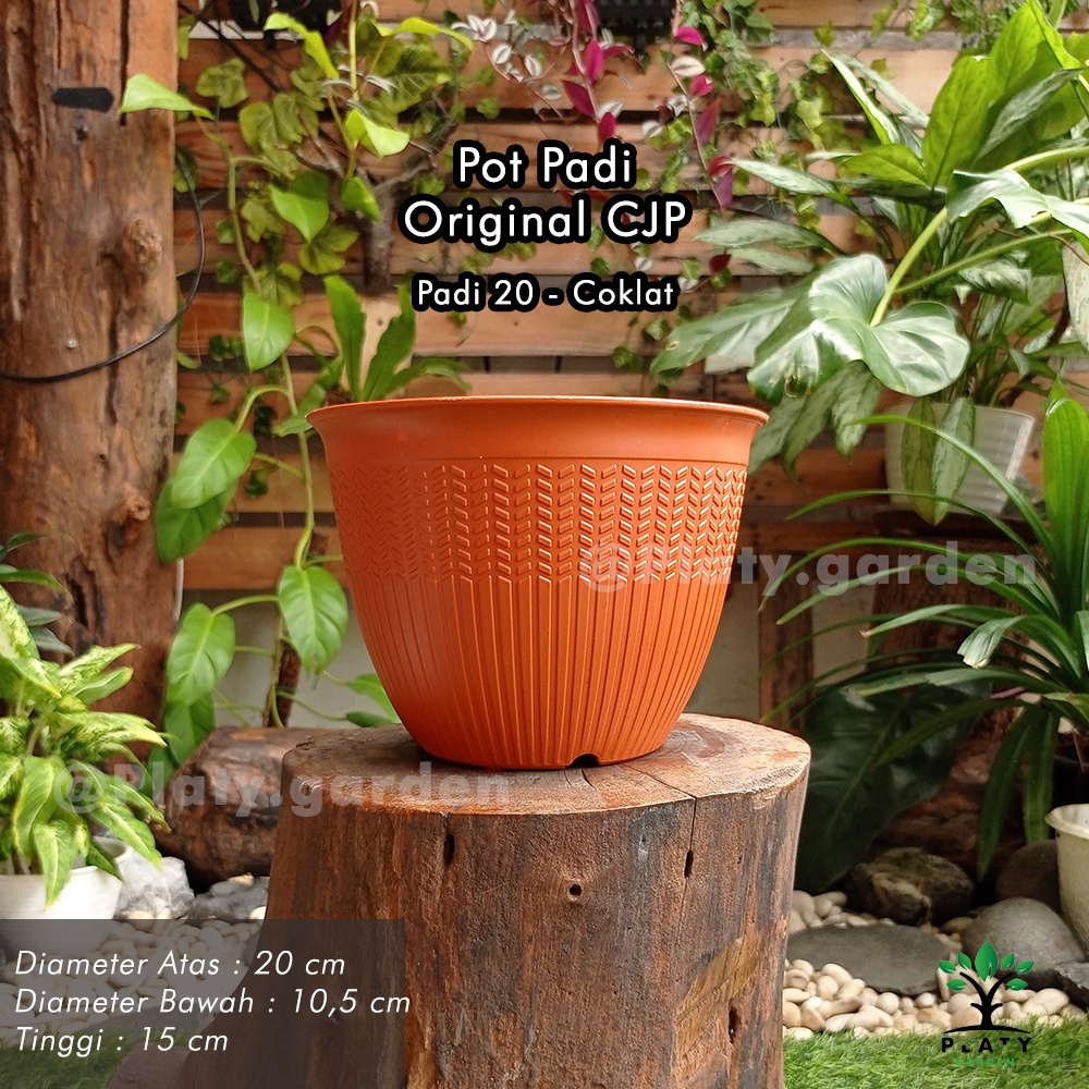 Pot Padi | Merk Citra Jaya Plastik | Pot Padi 18 - Pot Padi 25 | Pot Bunga