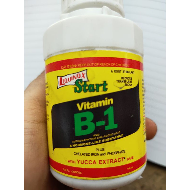 VITAMIN TANAMAN B1 THAILAND /VIT B1 / PUPUK TANAMAN / PUPUK AGLONEMA