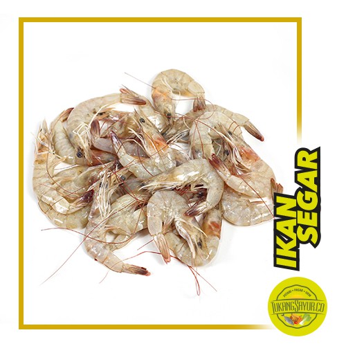 

Udang Sedang / 500 gr / 20-25 ekor