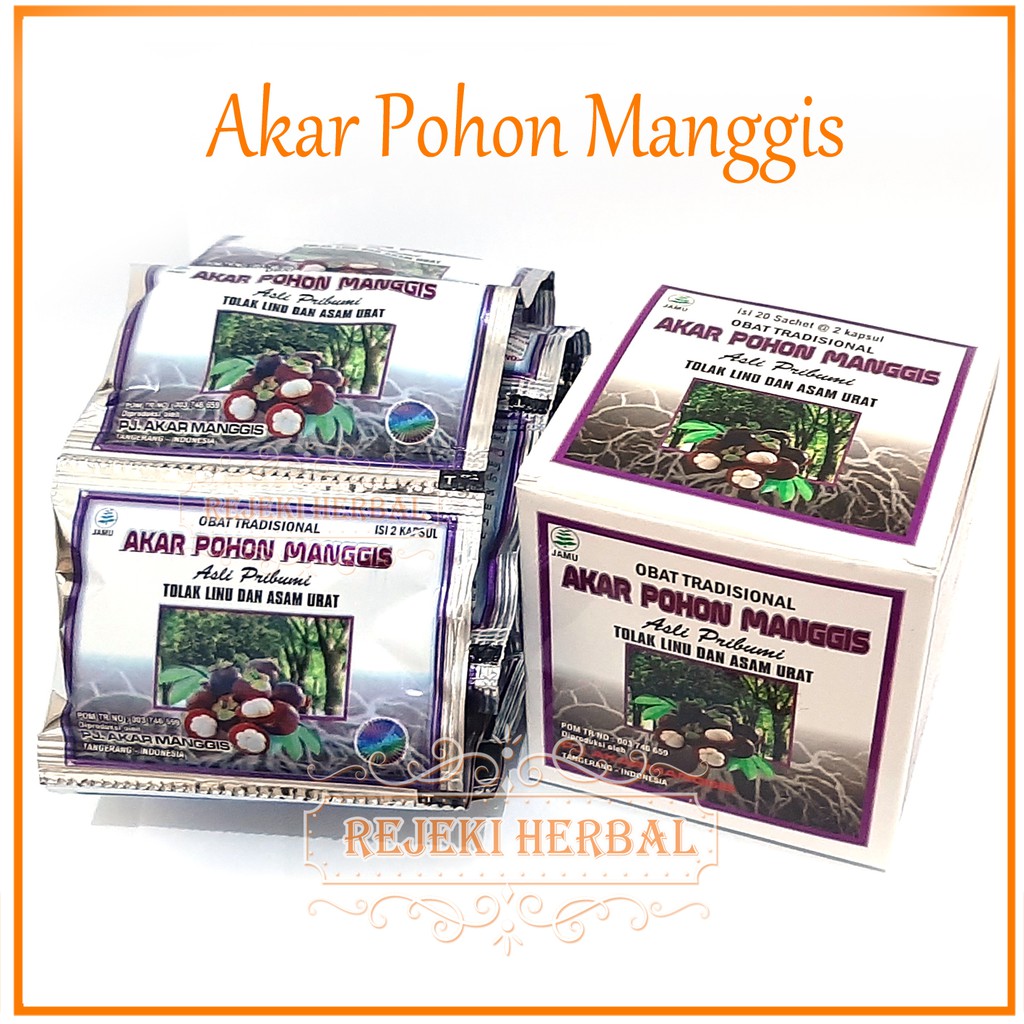 Kapsul Akar Pohon Manggis / Akar Manggis  ORIGINAL