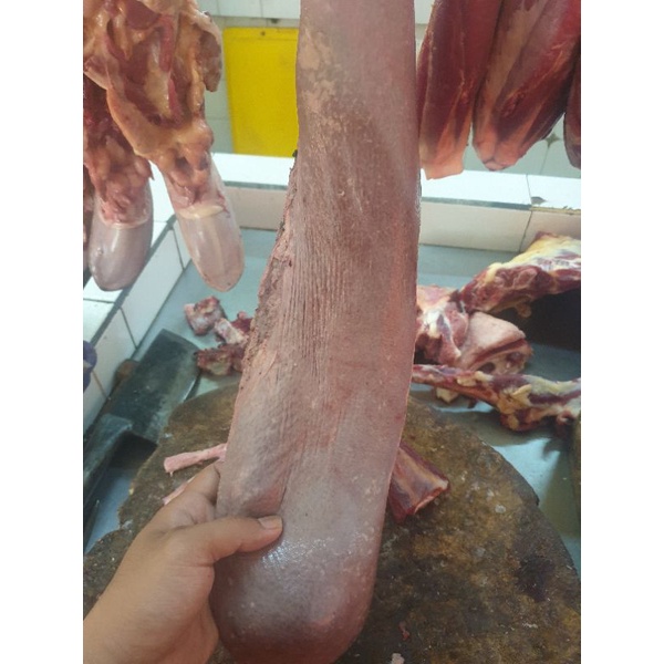 

LIMPA SAPI 500 GRAM