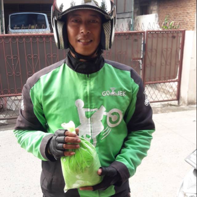 

Holipowder Tepung Warna