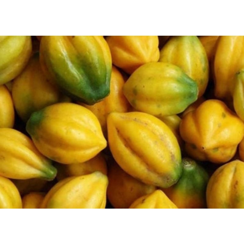 

Buah Carica 1 KG