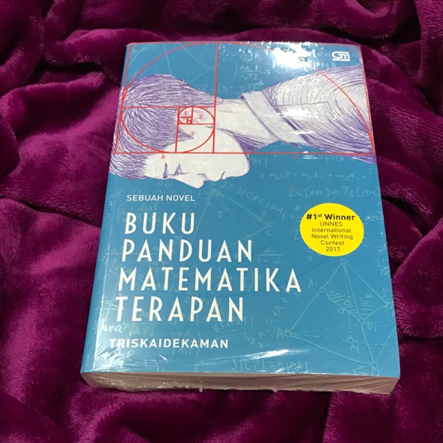 Buku Panduan Matematika Terapan (Sebuah Novel)