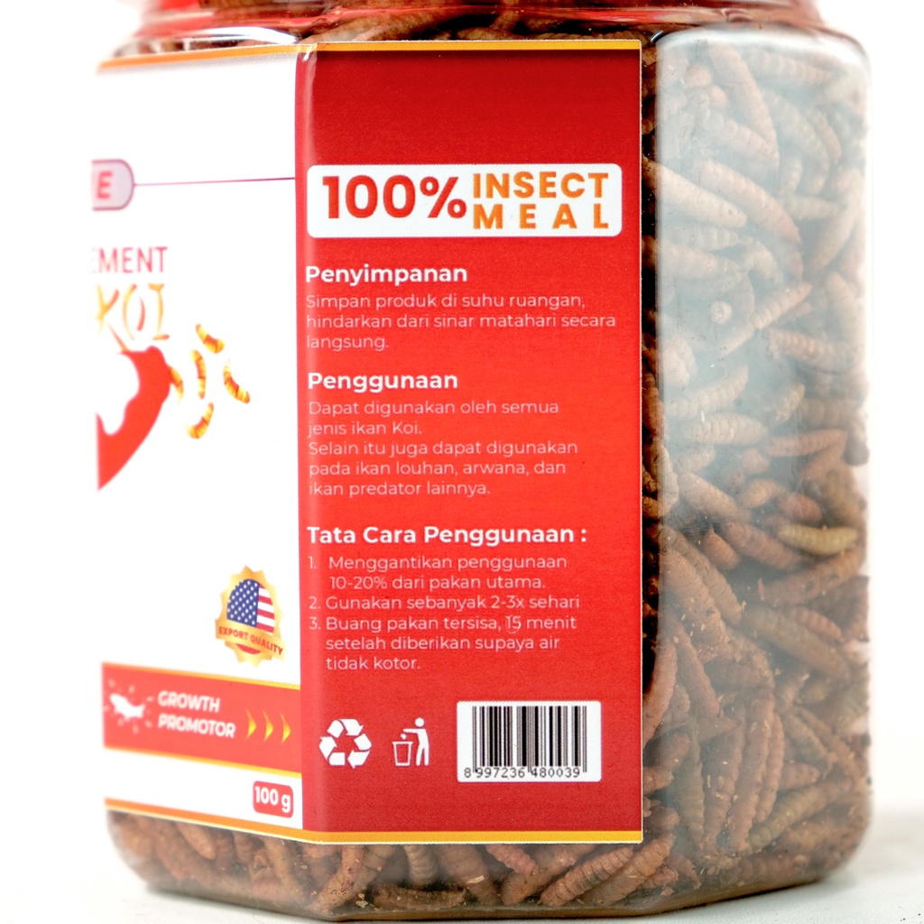 KROTO SENTAKU RED MAGGOT 100 GR MAGOT PAKAN MAKANAN IKAN ARWANA KOI PREDATOR