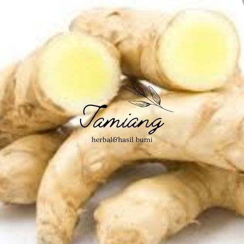 

Temu putih/ kunyit putih (zedoaria) curcuma 1 kg