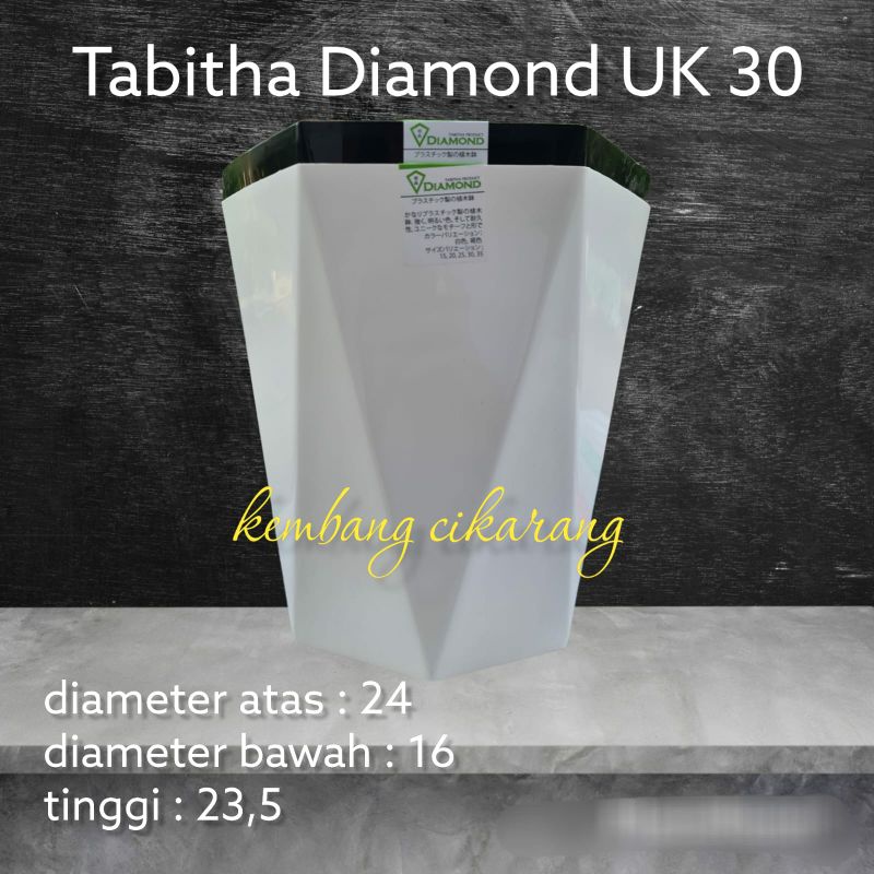 TABITHA DIAMOND UK 30 pot bunga cantik tinggi tebal berkualitas