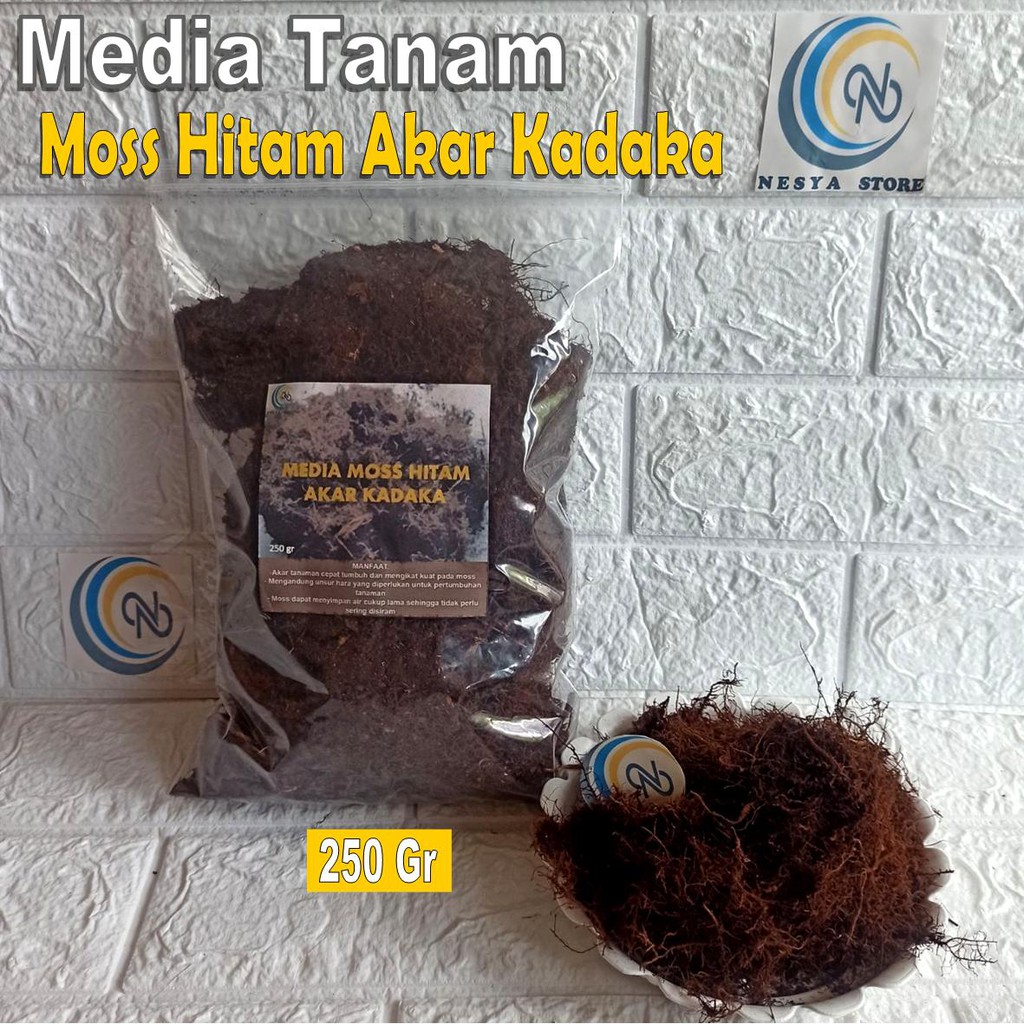 Media Tanam Moss Hitam Akar Kadaka Untuk Anggrek 250 gram