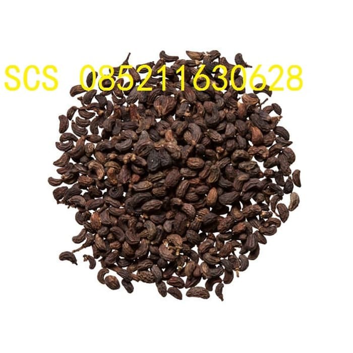 

Nu Zhen Zi Privet Fruit 600 gram