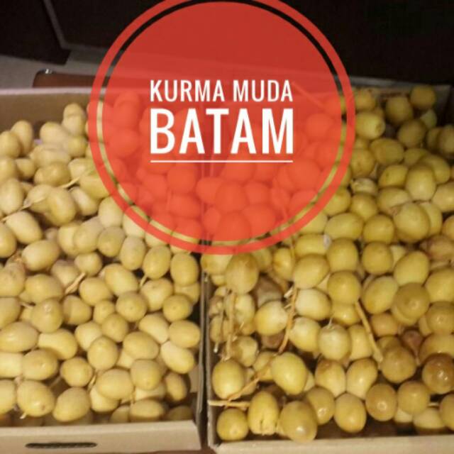 

Kurma muda kuning kesuburan penyubur promil dates mengkal mentah grosir reseller dropship batam