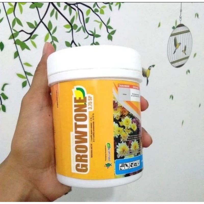 GROWTONE Zat Pengatur Tumbuh (ZPT) Perangsang Akar 100 gr