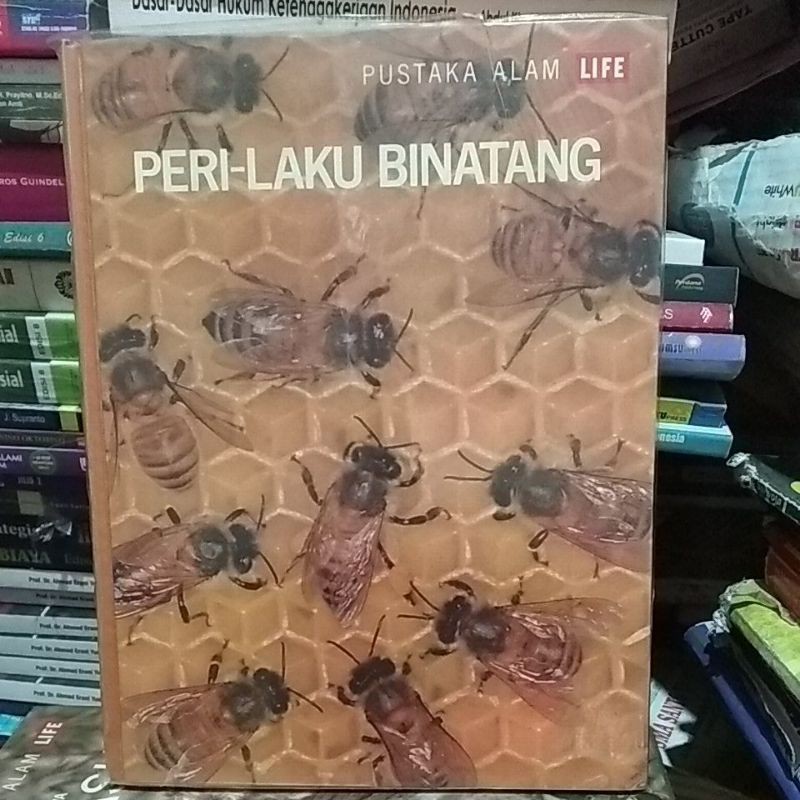 perilaku binatang
