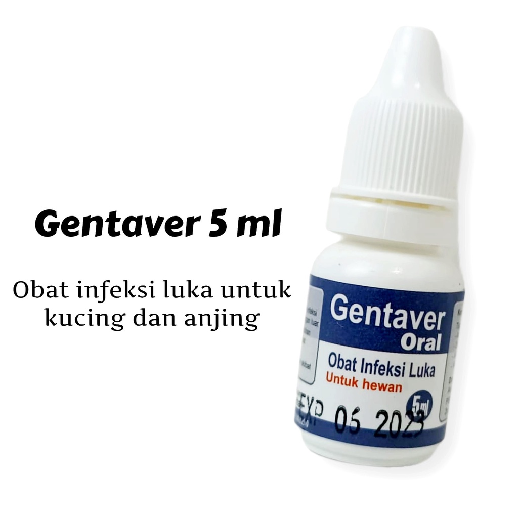 GENTAVER 5 ML / Obat Infeksi Luka Kucing &amp; Anjing