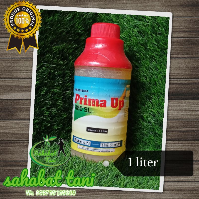 Jual Herbisida Sistemik Prima Up Sl Ally Wp Shopee Indonesia