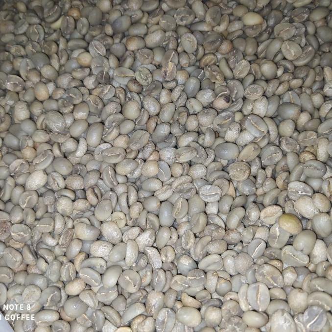 

green bean kopi arabika prigen natural proses grade 1