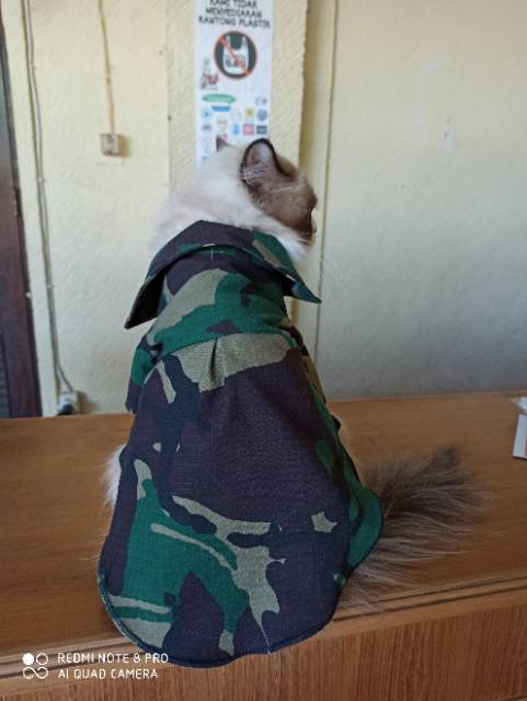 Baju kucing army tentara