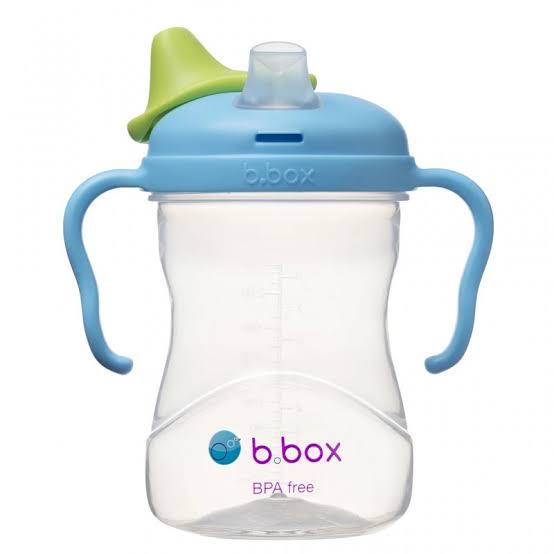 B.Box Spout Cup