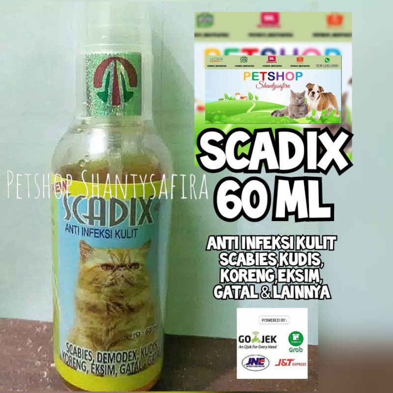 SCADIX ANTI INFEKSI KULIT KUCING ANJING SRPAY 60 ML OBAT KULIT KUCING