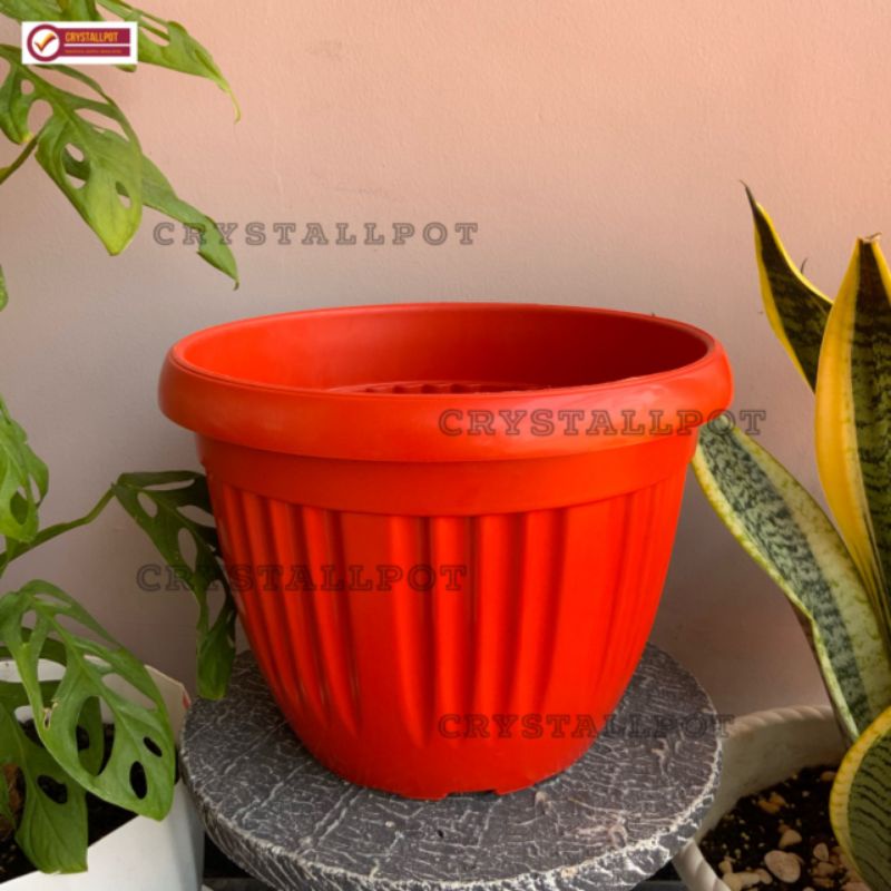 pot bunga tanaman plastik Grace 30 kuping - GRACE 30 KUPING MERAH BATA