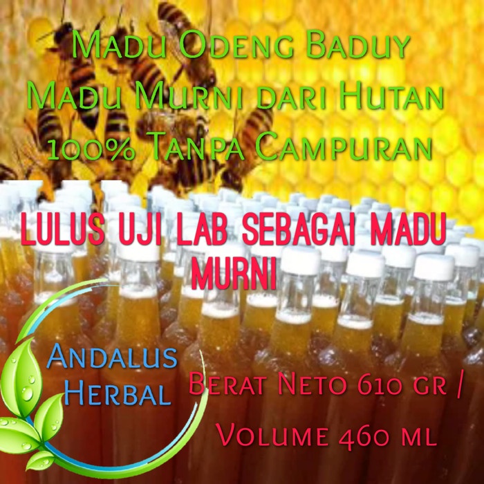 

b01n1nh Madu Odeng Hutan Baduy Asli (Manis) Murni 100% Ds201Fs