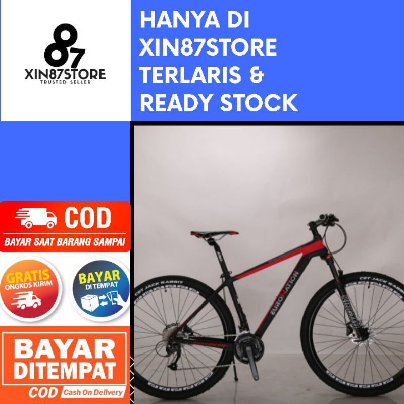 SEPEDA MTB EURONATION CB 29 ER FRAME CARBON