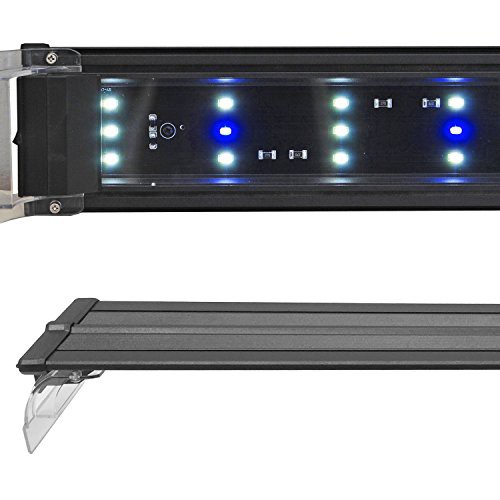 beamswork led light