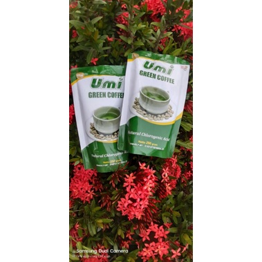 

2pcs Umi Green Coffee