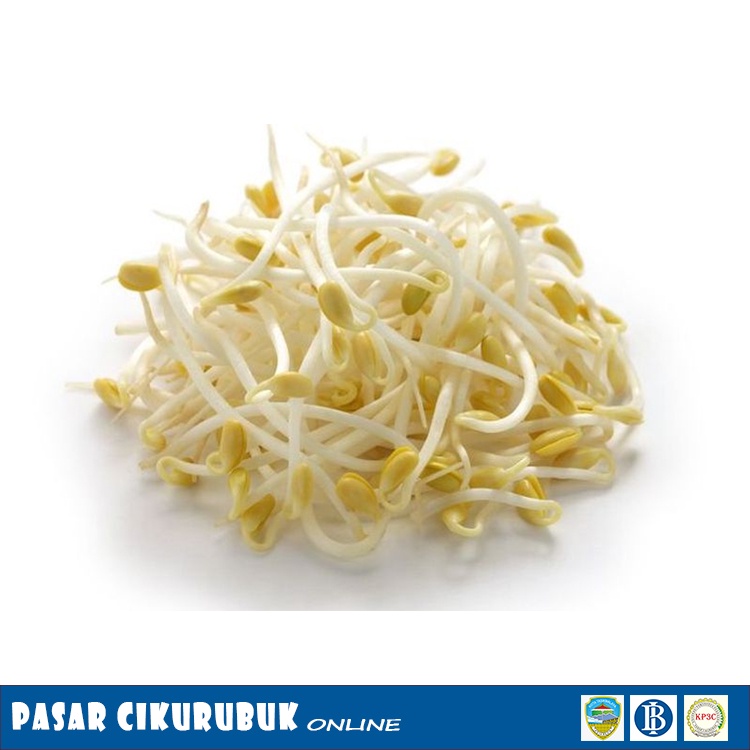 

Sayur Toge 250 gr