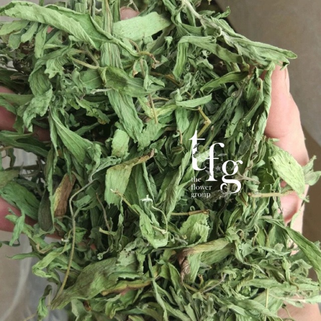 

1kg - Dried Stevia Leaf Tea - TFG tea