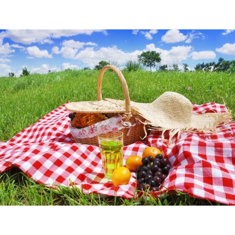 Tikar piknik/tikar kain/fotograph/tikar piknik/tikar murah