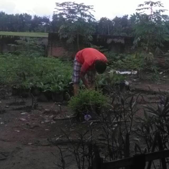 ahmadyasin0410