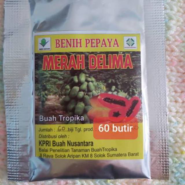 bibit benih pepaya merah delima isi 60 butir