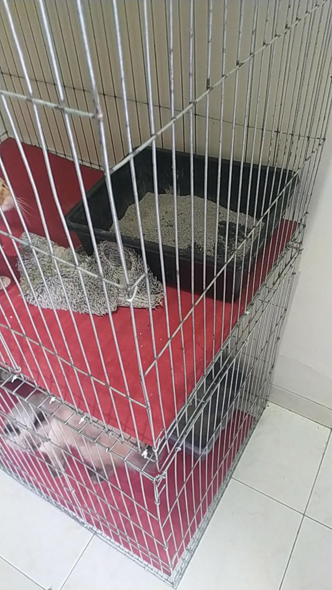 Baskom Plastik / Baskom Cat / Bak Cat / Bak Pasir Kucing - Susan