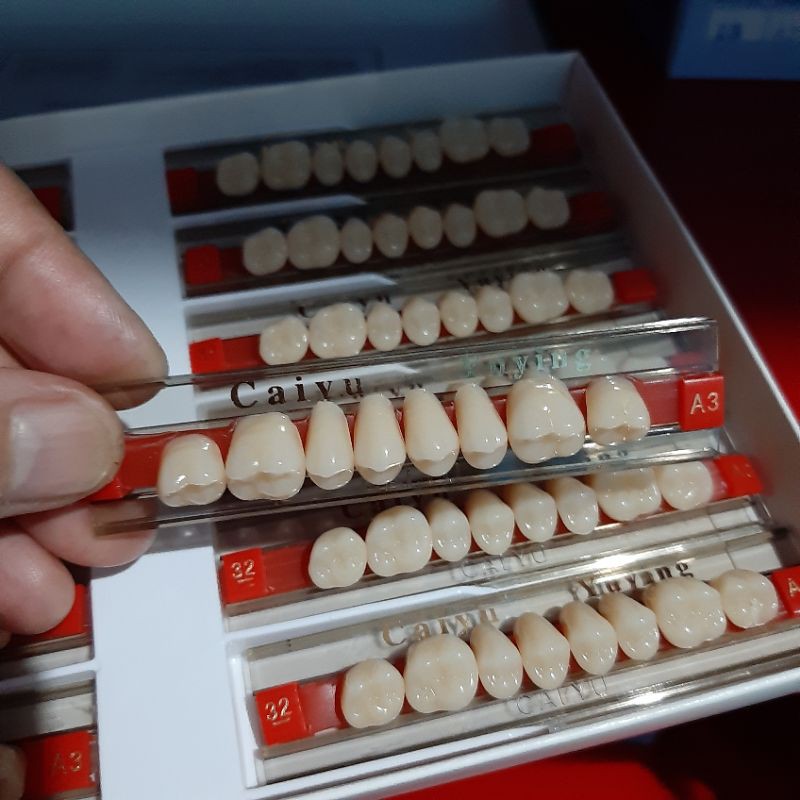 Gigi palsu geraham (posterior)-CAIYU-bahan acrylic per papan