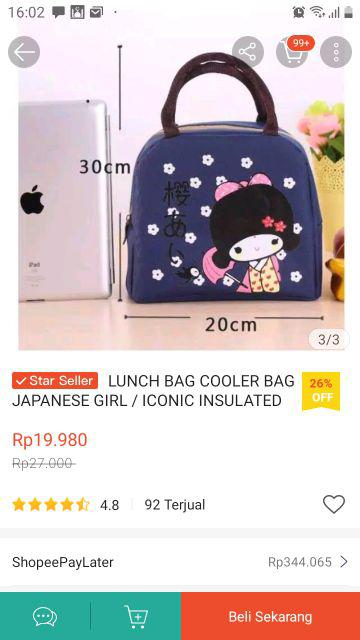 Lunch Bag Cooler Bag Japanese Girl / Iconic Insulated Lunch / Picnic Bag