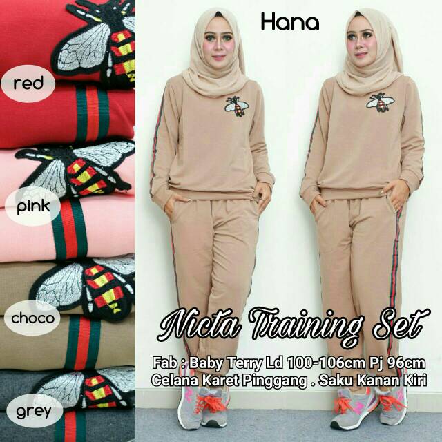 Nicta training set