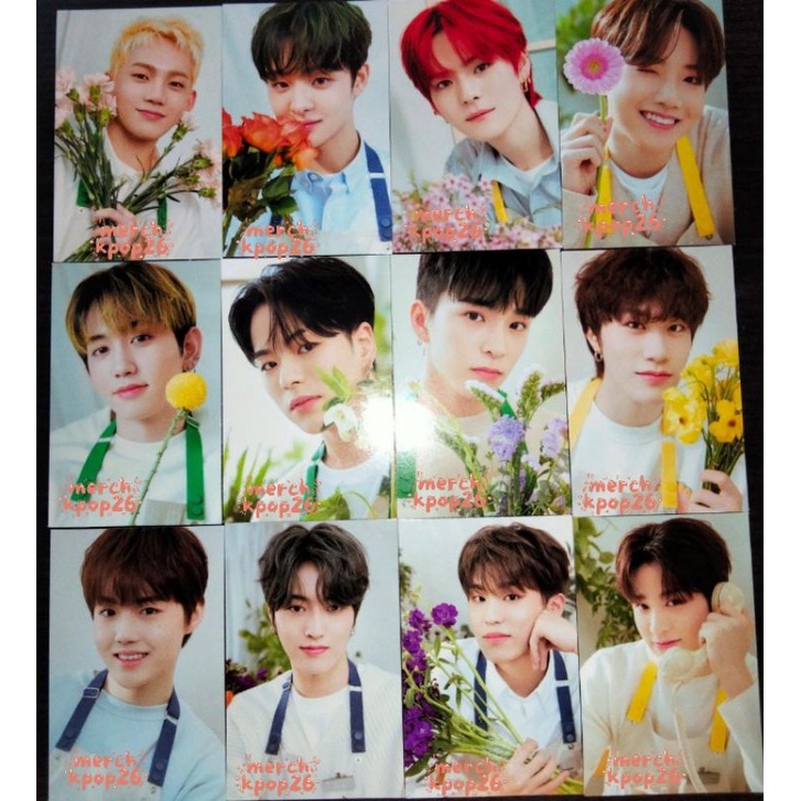 [READY STOCK] PHOTOCARD BINDER BLOOMING TREASURE