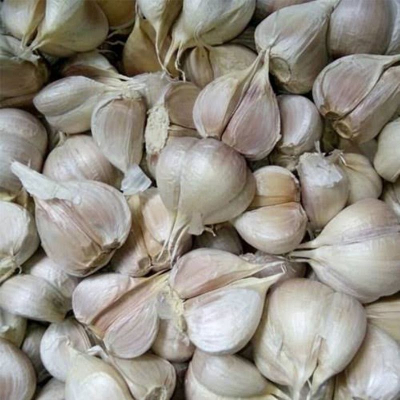 

Bawang Kating 250gr