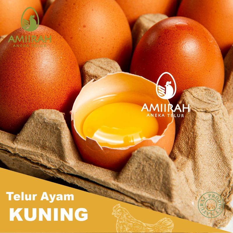 

Telur Ayam Negeri 1 kg Fresh Amiirah Telur ( Isi 15-17 Butir )
