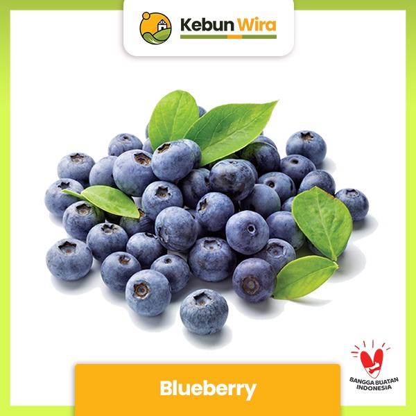 

Blueberry | Blueberries Pack 125gr