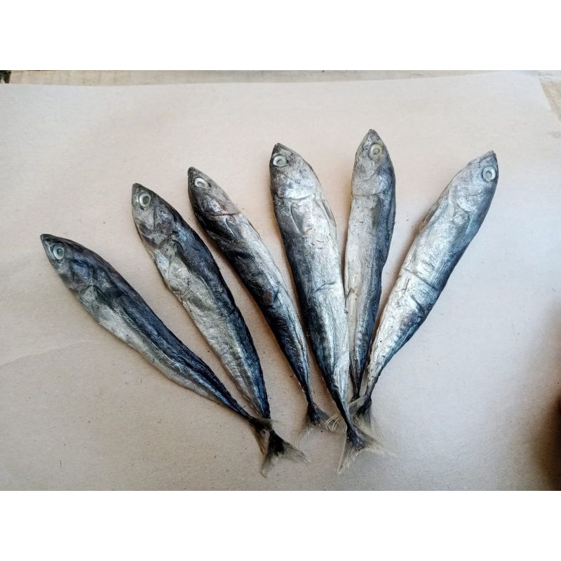 

ikan asin TONGKOL UTUH grade A ; 100 gram