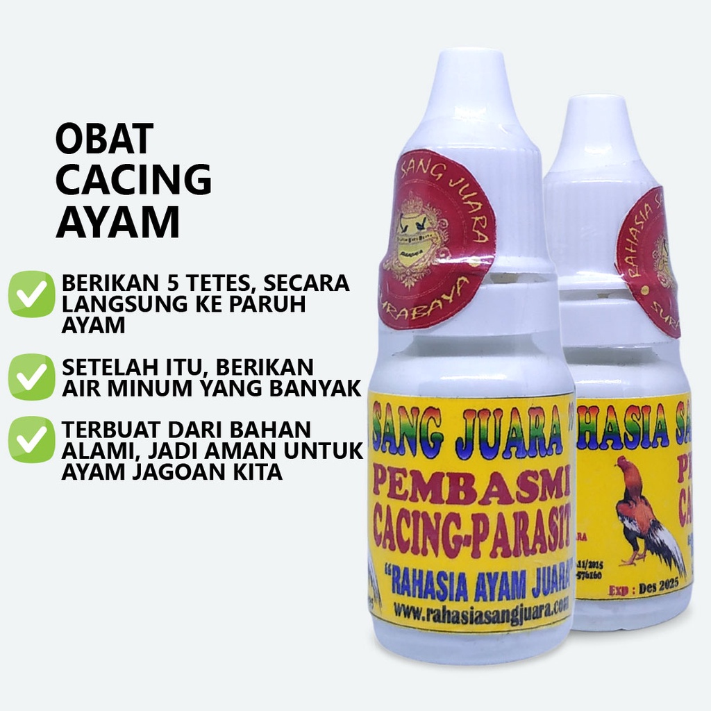 OBAT CACING AYAM BANGKOK ADUAN AMPUH MEMBASMI CACING DAN PARASIT