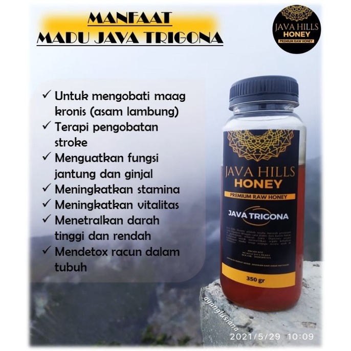 

Madu Java Trigona