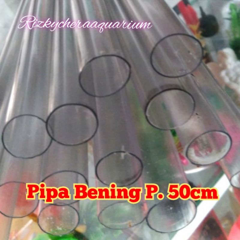 pipa aquarium P 50cm hiasan aquarium aksesoris aquarium