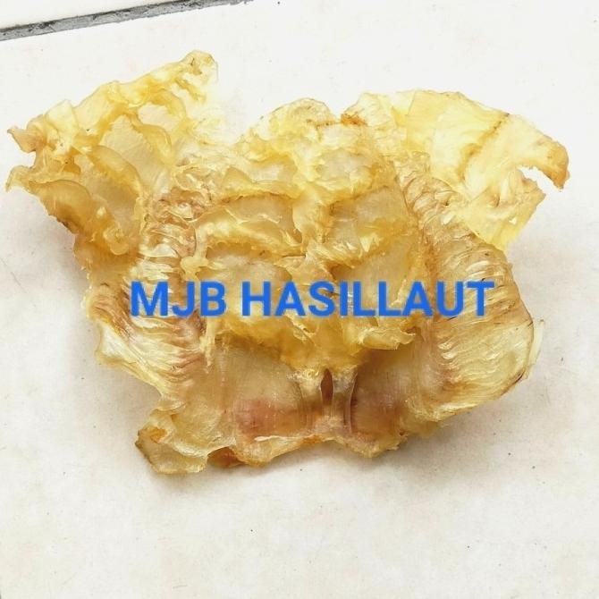 

---Terbaru--- gelembung manyung, yi phiau, perut ikan, lambung ikan, hupio, 1kg